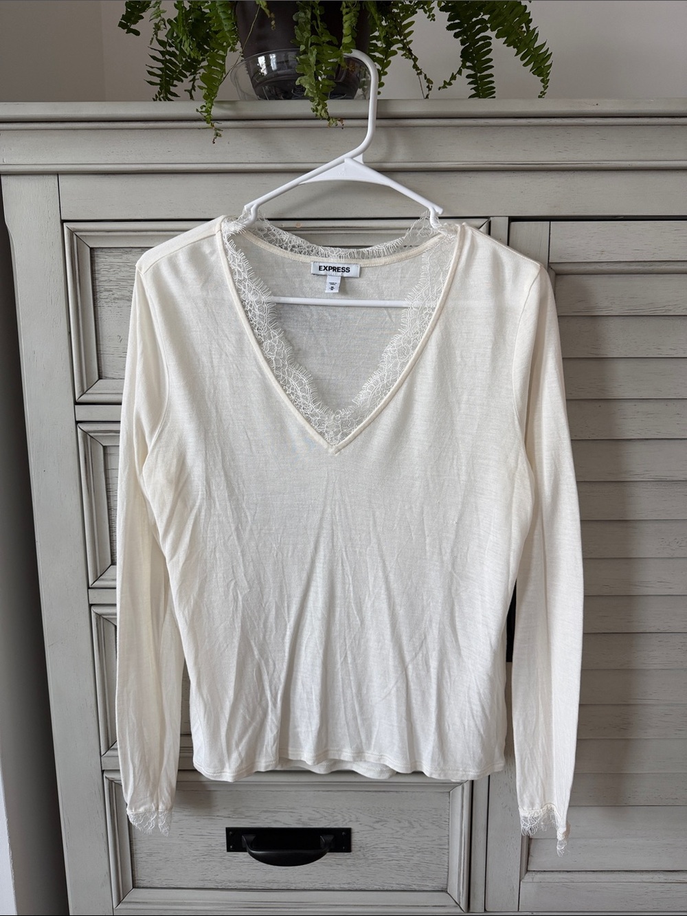 Express Cream Lace V-Neck Long Sleeve Top Size M
